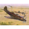 1:32 P-39 N/Q Aircobra 'Soviet Gurad Regi. '