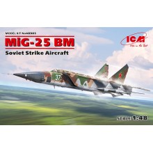 MiG-25 BM Soviet Strike Aircraft 1:48