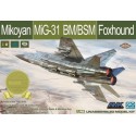 1:48 Mikoyan MiG-31 BM/BSM Foxhound