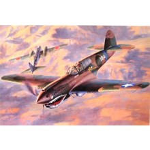 P-40E Warhawk 1:48