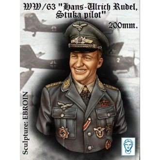 Hans-Ulrich Rudel 'Stuka Pilot'