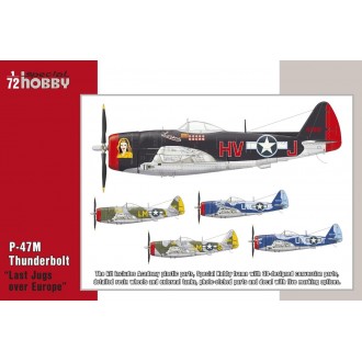 P-47D 'Thunderbolt'