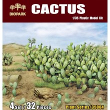 Cactus 1:35